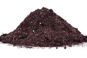 Super Best Quality PAS 100 Organic Compostsold in Bristol